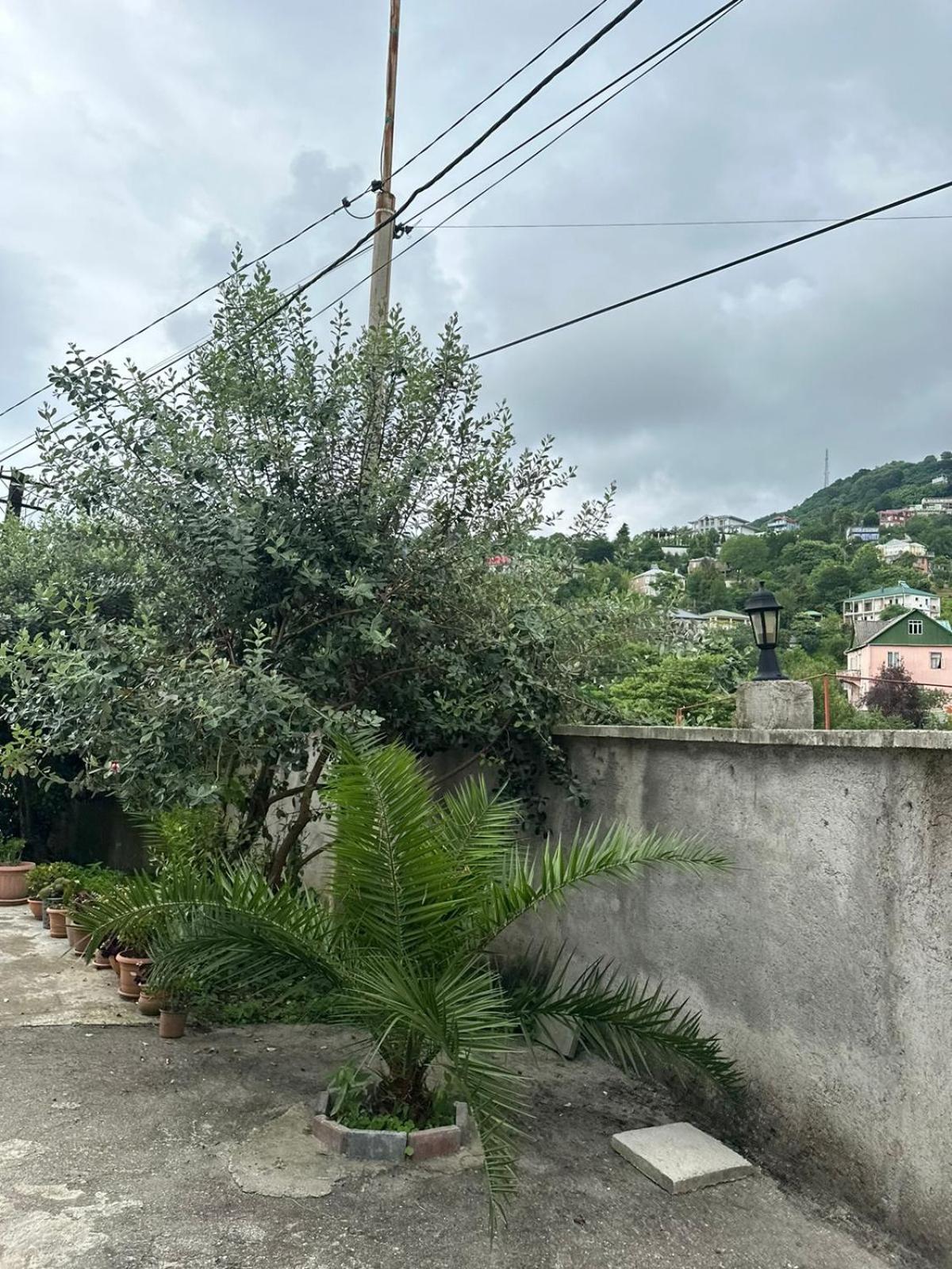 Penzion Shamil House Makhinjauri Exteriér fotografie