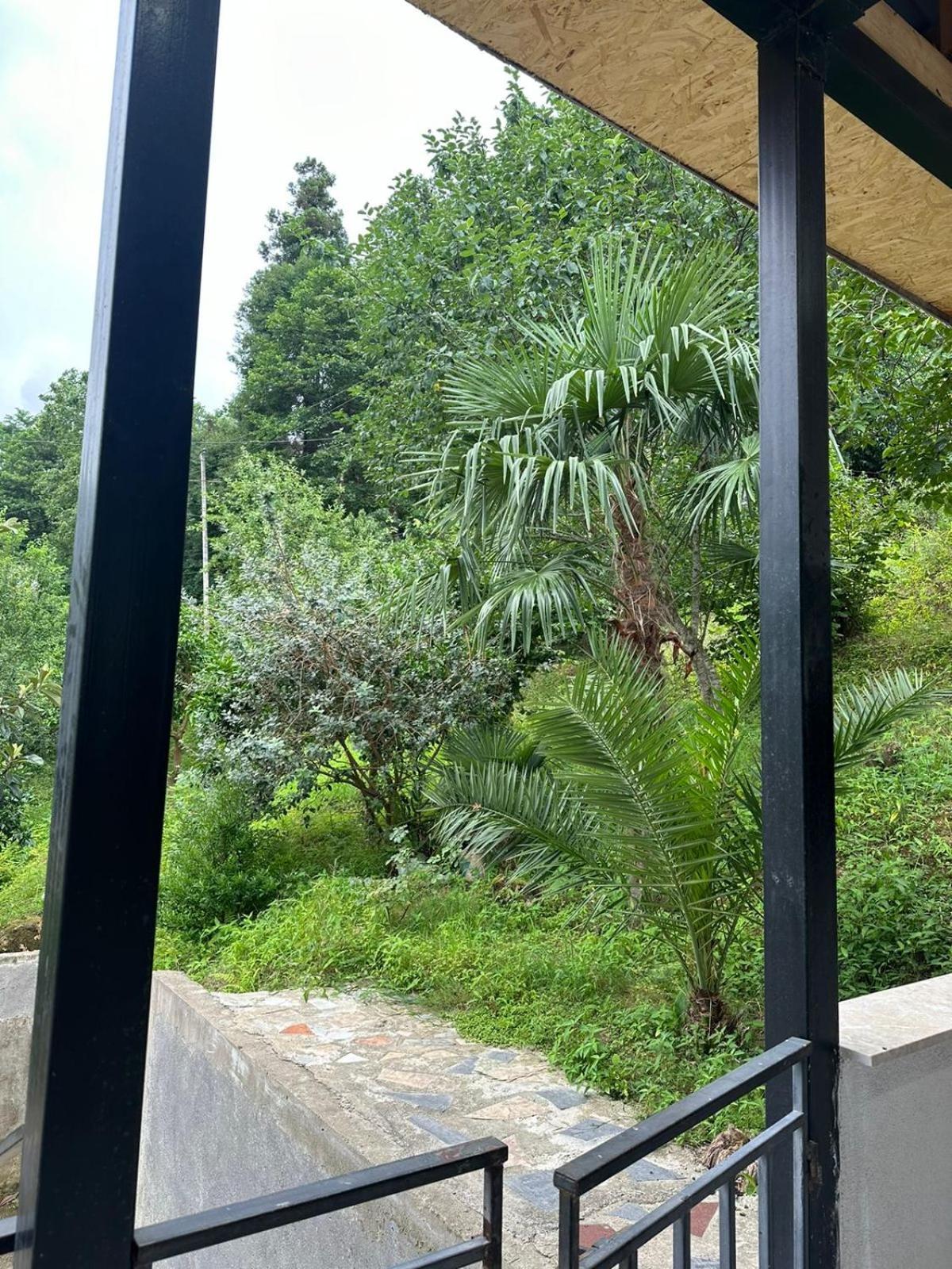 Penzion Shamil House Makhinjauri Exteriér fotografie